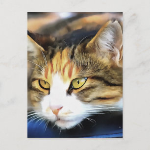 Yellow Eyed Calico Cat Realistic Pet Portret Briefkaart