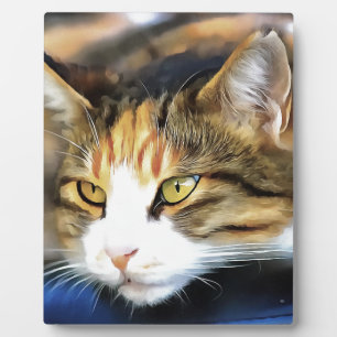 Yellow Eyed Calico Cat Realistic Pet Portret Fotoplaat