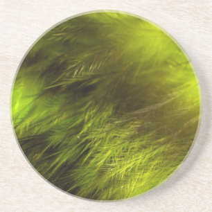 Yellow Feathers Zandsteen Onderzetter