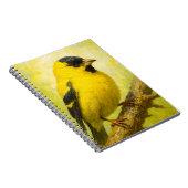 Yellow Finch Notebook | Goldfinch Bird Art Journal (Côté Droit)