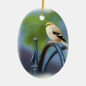 Yellow Finch Ornament (Voorkant)