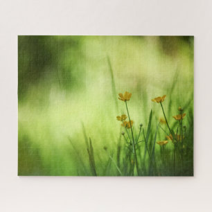 Yellow Flower Buttercup Natuur Foto Legpuzzel
