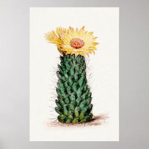 Yellow Flower Cactus Sketch Art Poster