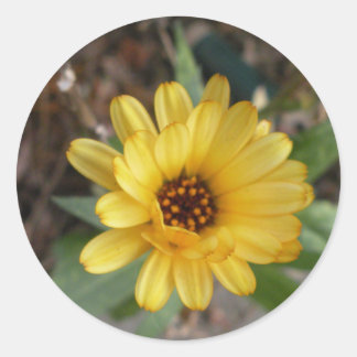 Yellow Flower Kleine Sticker