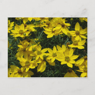 Yellow Flowers Briefkaart
