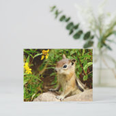 Yellow Flowers Chipmunk Briefkaart (Staand voorkant)