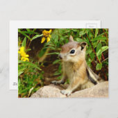 Yellow Flowers Chipmunk Briefkaart (Voorkant / Achterkant)