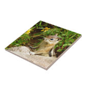 Yellow Flowers Chipmunk Tegeltje (Zijkant)