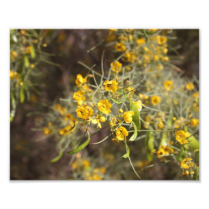 Yellow Flowers Foto afdrukken Afdruk