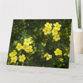 Yellow Flowers Kaart