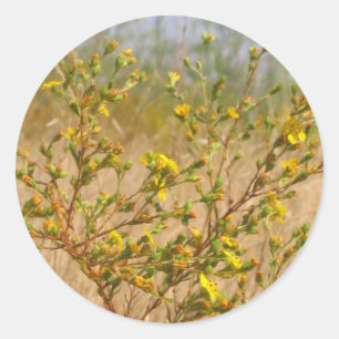 Yellow Flowers Struik Sticker