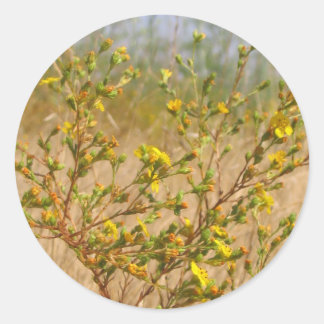 Yellow Flowers Struik Sticker