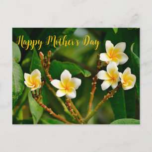 Yellow Frangipani Briefkaart