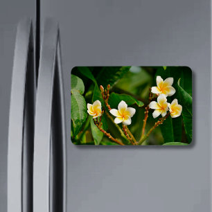 Yellow Frangipani Magneet
