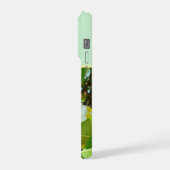 Yellow Frangipanis Growing On A Tree, (Côté gauche)