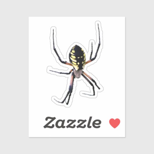 Yellow Garden Spider Sticker (Vel)