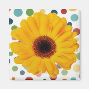 Yellow Gerber Daisy Magneet