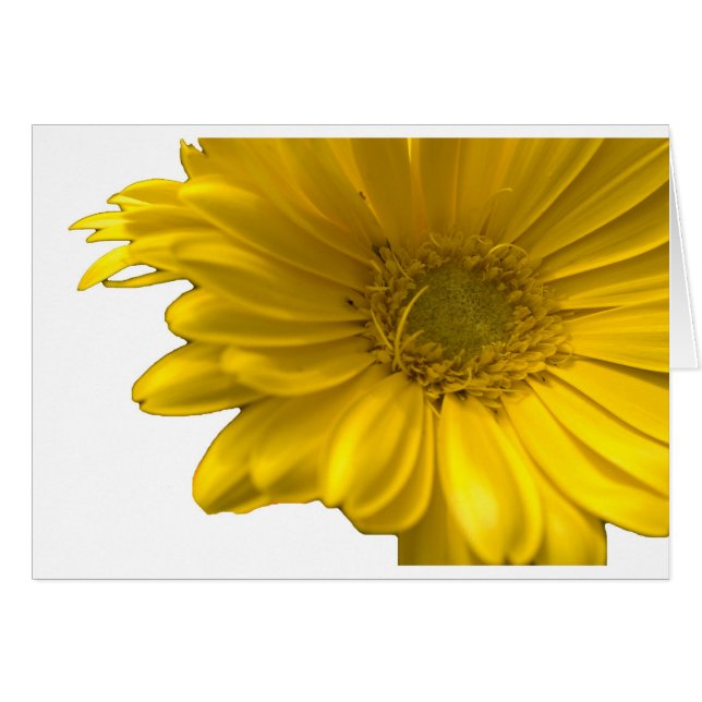Yellow Gerbera Daisy (Voorkant Horizontaal)