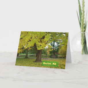 Yellow Gingko Tree Kaart