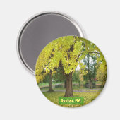 Yellow Gingko Tree Magneet (Voorkant / Achterkant)