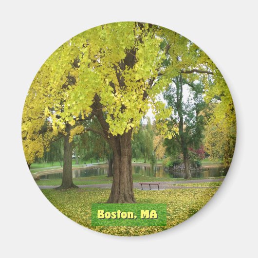 Yellow Gingko Tree Magneet (Voorkant)