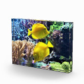 Yellow Hawaiian Tang Fish Fotoblokken (Rechts)
