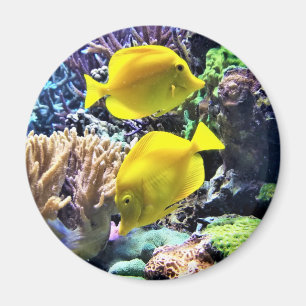 Yellow Hawaiian Tang Fish Magneet