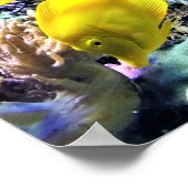 Yellow Hawaiian Tang Fish Poster (Hoek)