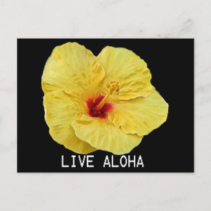 Yellow Hibiscus Briefkaart