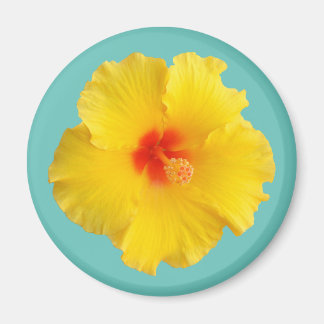 Yellow Hibiscus Flower Photo Magneet
