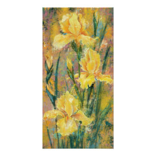 Yellow Iris Flowers Poster Perfect Poster