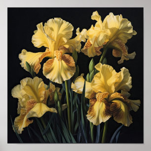 Yellow Iriss Flower Art Print Poster