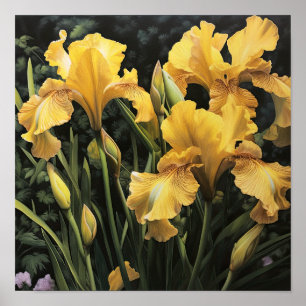 Yellow Iriss Flower Art Print Poster