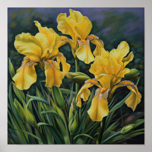 Yellow Iriss Flower Art Print Poster