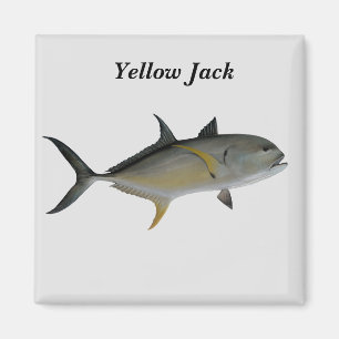 Yellow Jack Fish Magnet Magneet