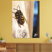 Yellow Jacket in Freeland Canvas Afdruk (Insitu (Woonkamer))