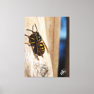 Yellow Jacket in Freeland Canvas Afdruk