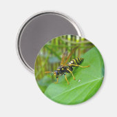 Yellow Jacket Magnet Magneet (Voorkant / Achterkant)