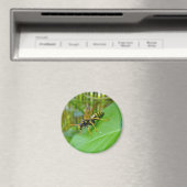 Yellow Jacket Magnet Magneet (Insitu (Vaatwasser))