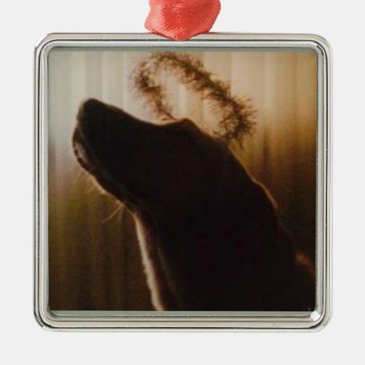 Yellow Lab Angel Ornament van Willowcatdesigns (Voorkant)