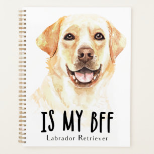 Yellow Lab Chien Chien Chien Aquarelle Labrador Re
