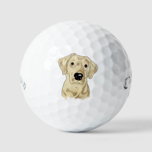 Yellow Lab Dog Golfballen (Voorkant)