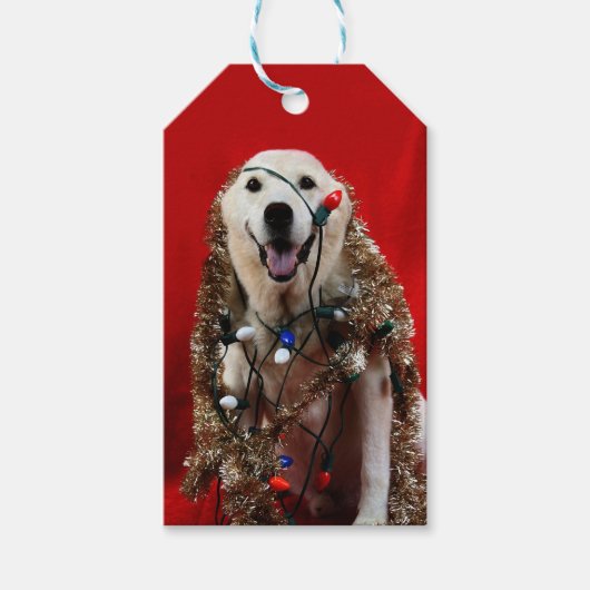 Yellow lab kerst cadeaulabel (Voorkant)
