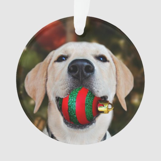 Yellow lab-kerstbal ornament (voorkant)