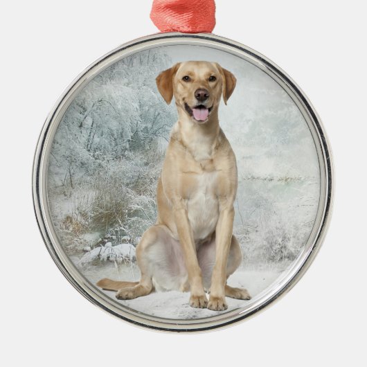 Yellow Lab Ornament (Voorkant)