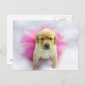 Yellow Lab Puppy Briefkaart (Voorkant / Achterkant)