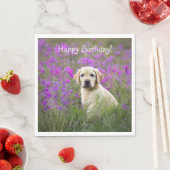 Yellow Lab Puppy Servet (Insitu)