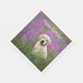 Yellow Lab Puppy Servet (Hoek)