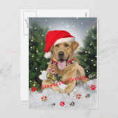 Yellow Lab Santa Paws Kaart (Voorkant / Achterkant)
