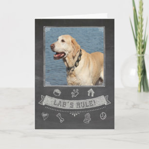 Yellow Lab schoolbord Verjaardag Kaart